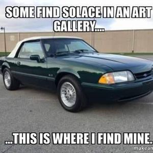 Meet your Posher, Ray